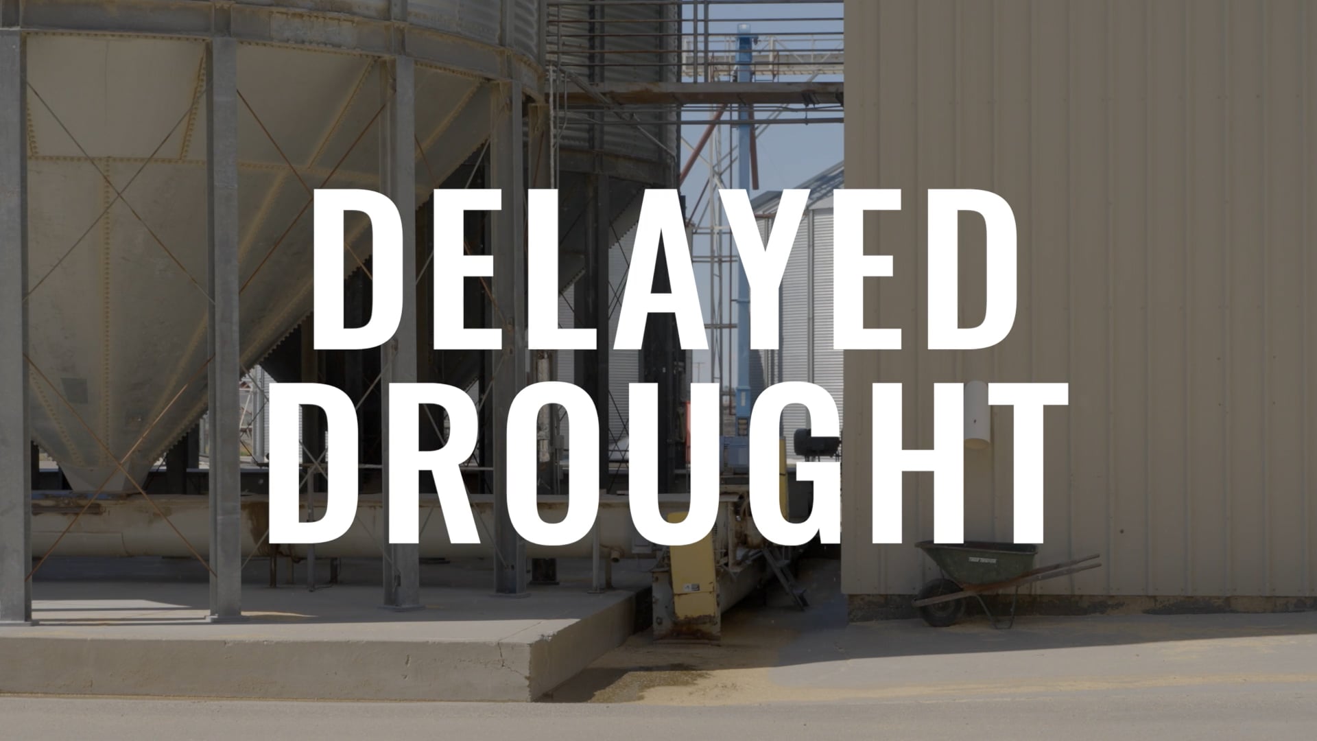 CA Rice - Delayed Drought