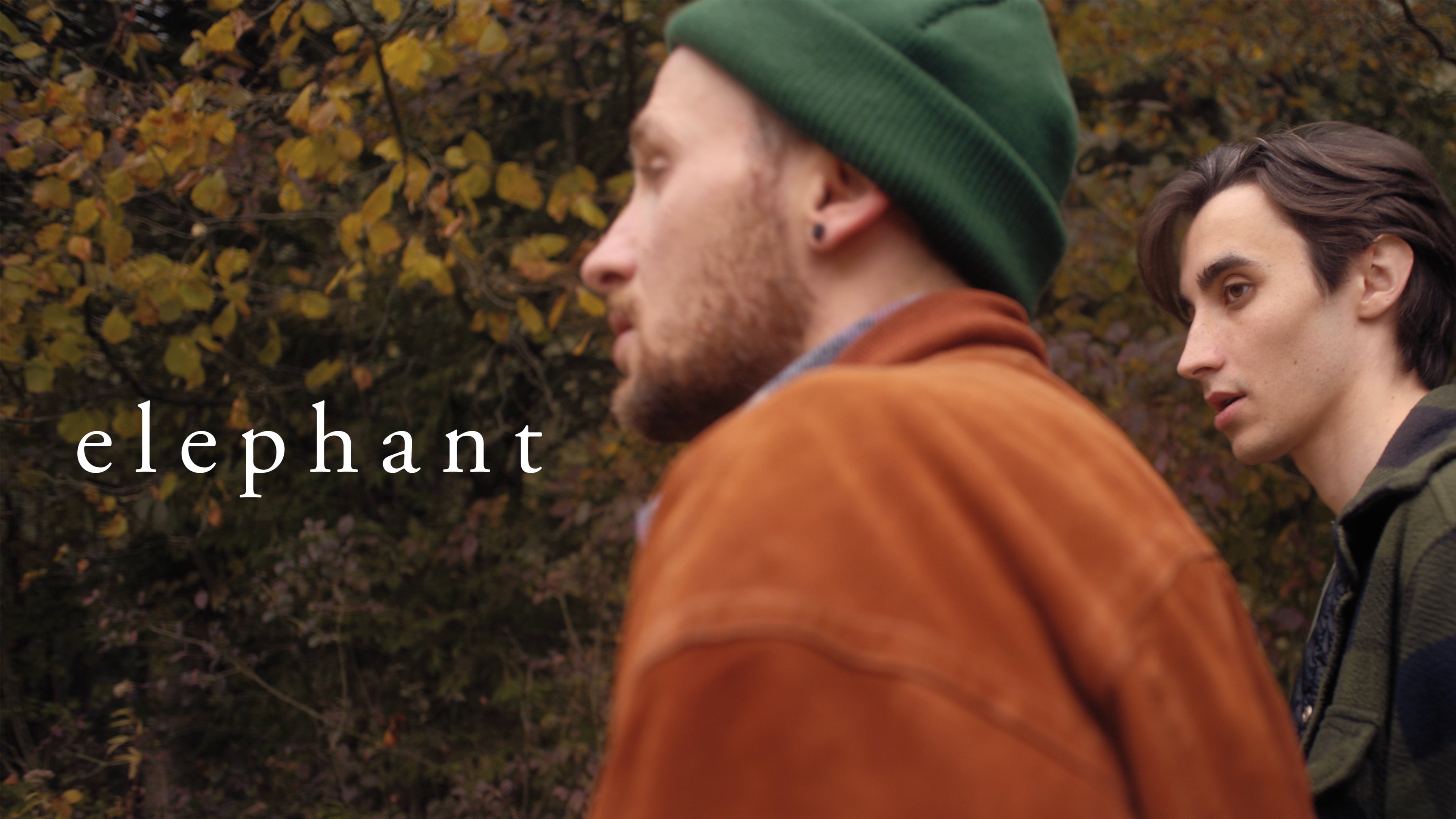 Watch Elephant Online | Vimeo On Demand on Vimeo