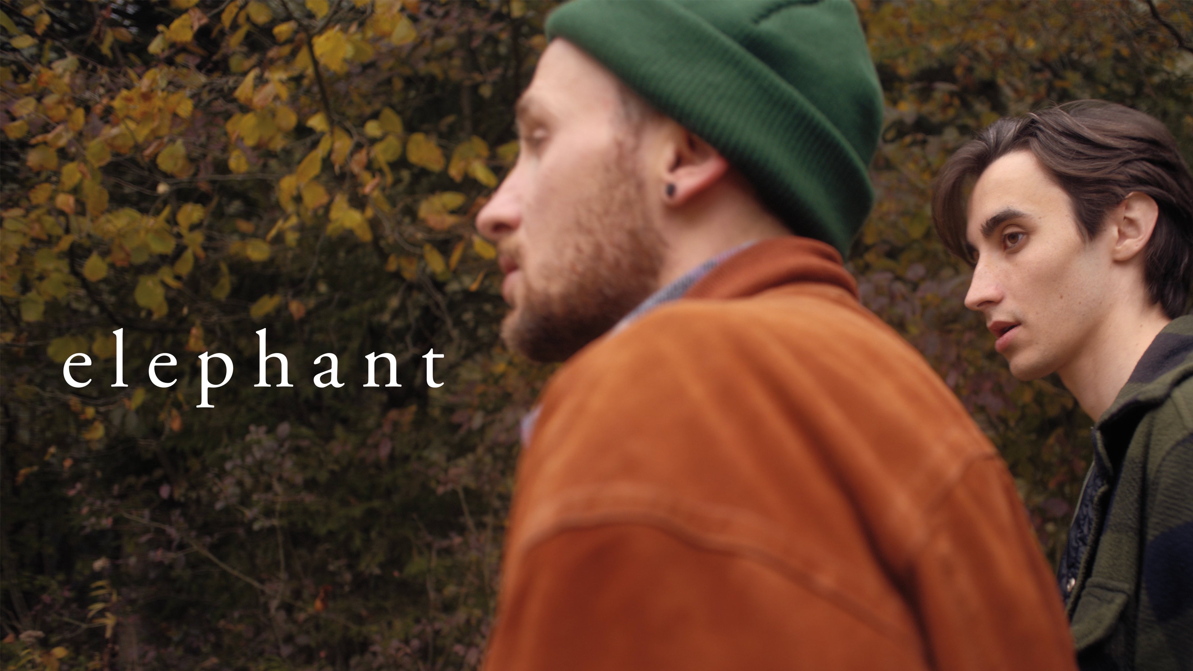 Watch Elephant Online | Vimeo On Demand on Vimeo