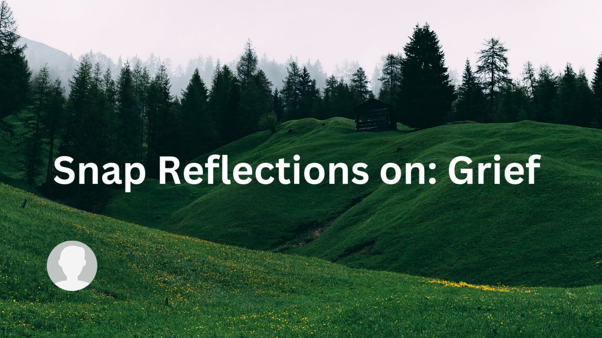 Snap Reflections on Grief on Vimeo