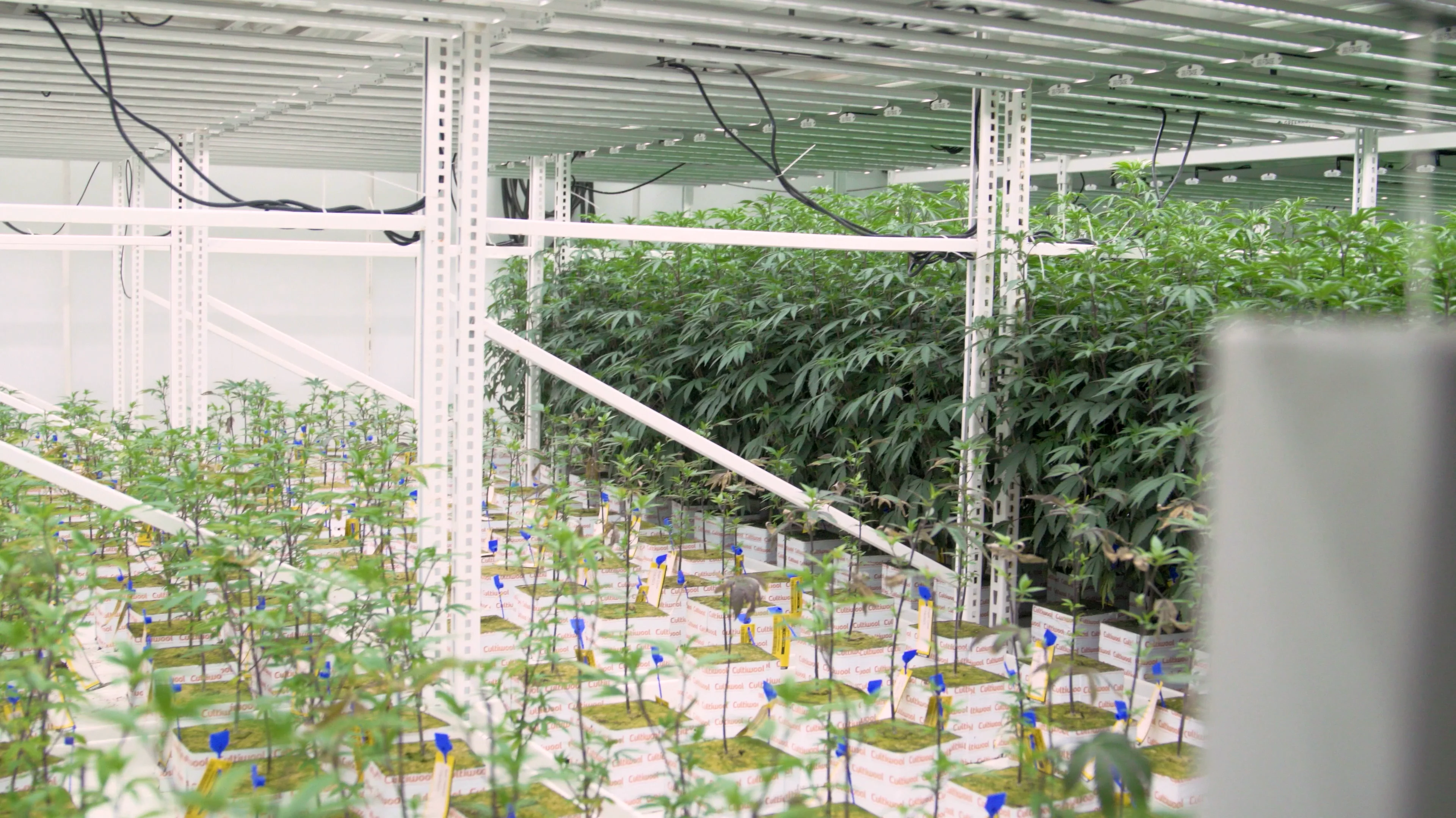 BSB_Testimonial_Method Grow, image size:3840x2160