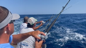 White Marlin Open 2023 — Day 2 — Ocean City, Maryland