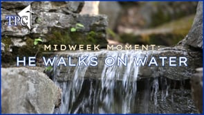 Midweek Moment: He Walks On Water