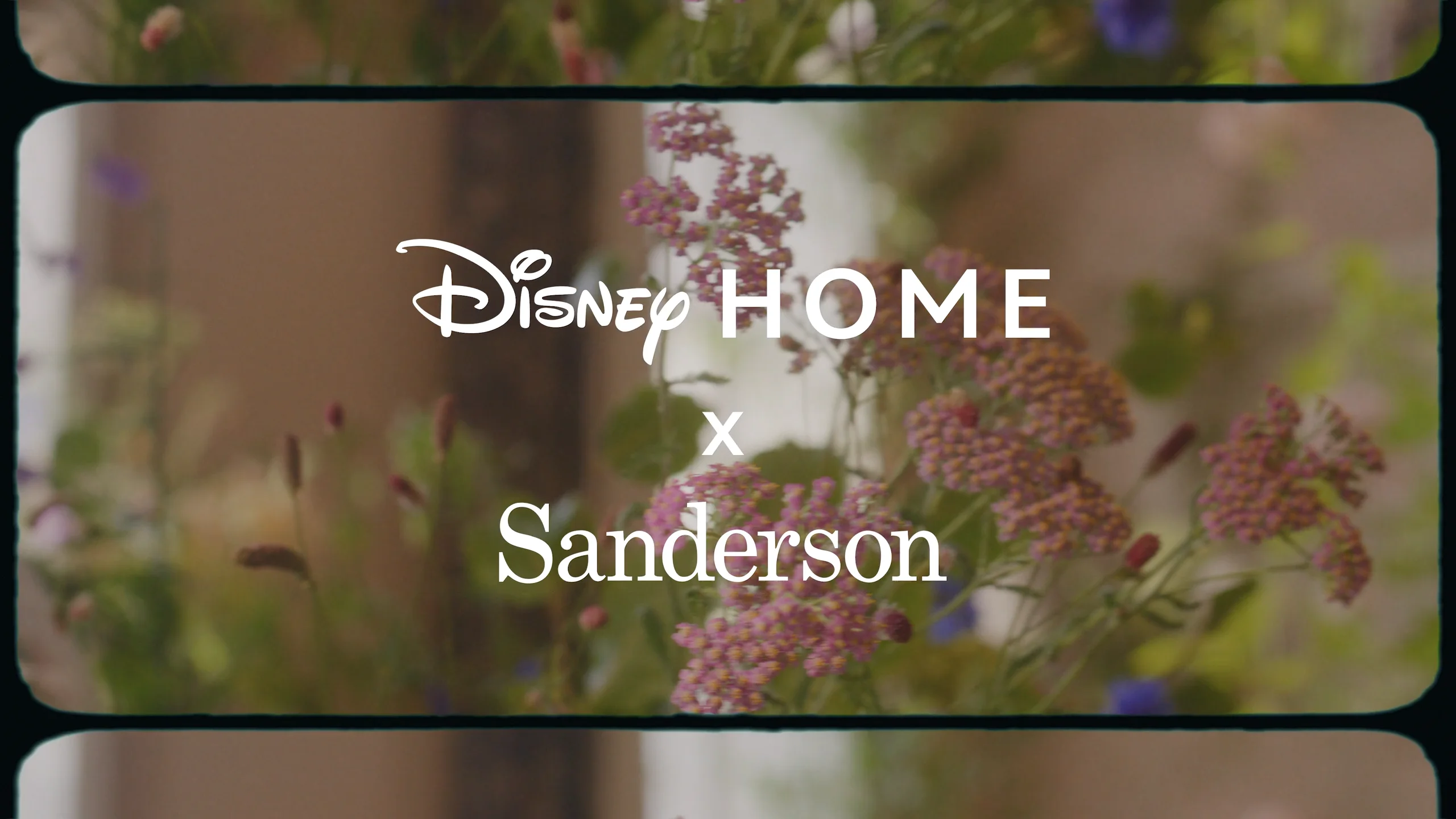 Disney Home X Sanderson Wallpapers