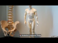 Accupuncture: Welcome to Accupuncture Therapy Course