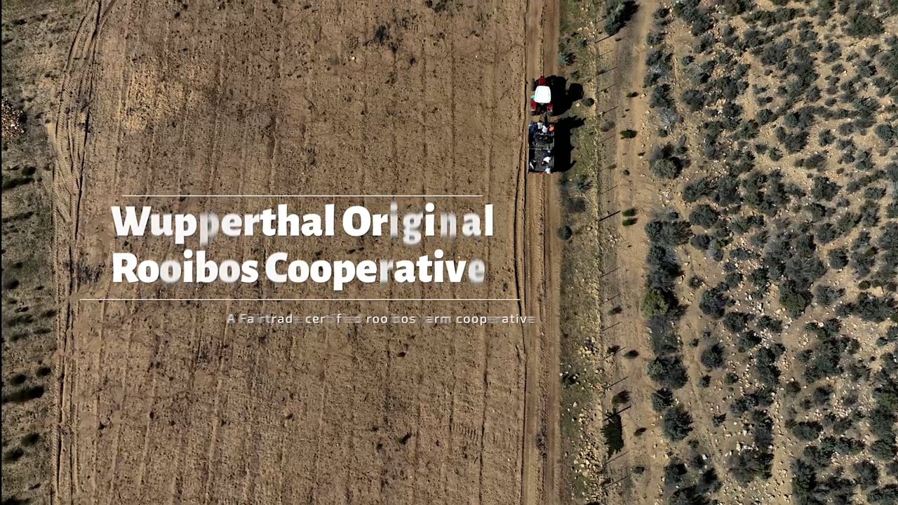 Fairtrade Africa - Wupperthal Original Rooibos Cooperative