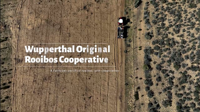 Fairtrade Africa - Wupperthal Original Rooibos Cooperative