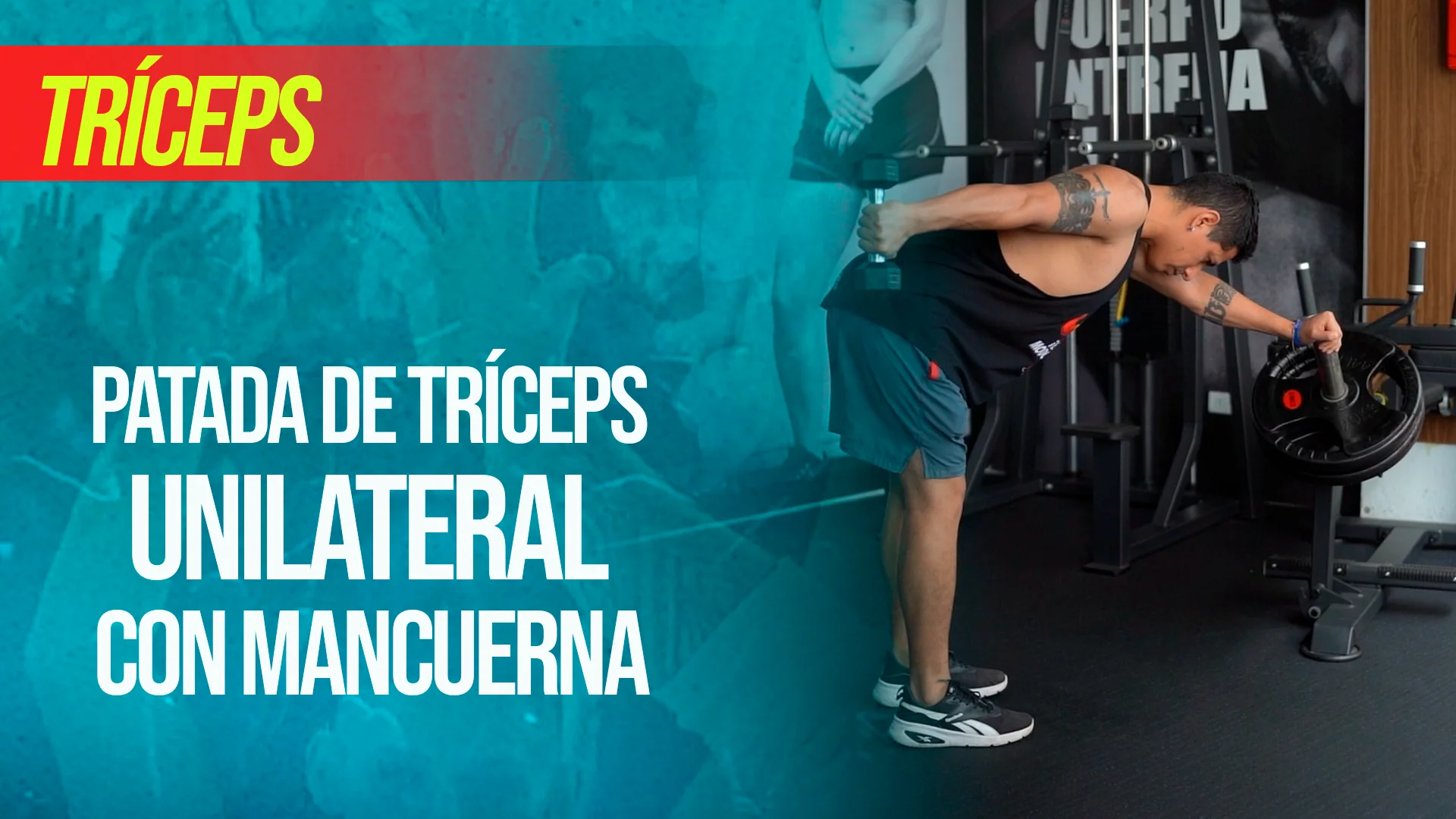 Triceps mancuernas discount