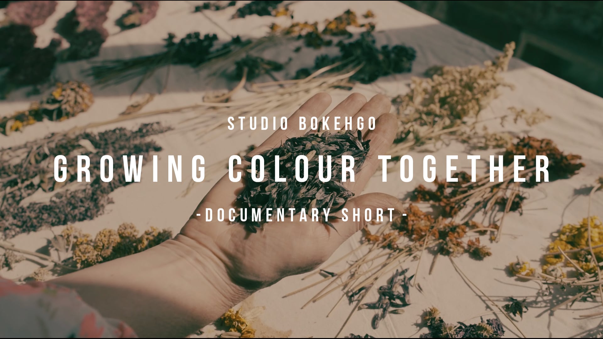 Growing Colour Together - Documentary Short