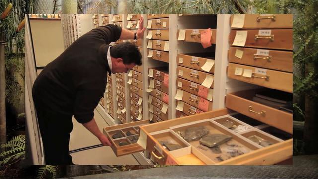 Science at FMNH – The Geologic Record & Environmental Change