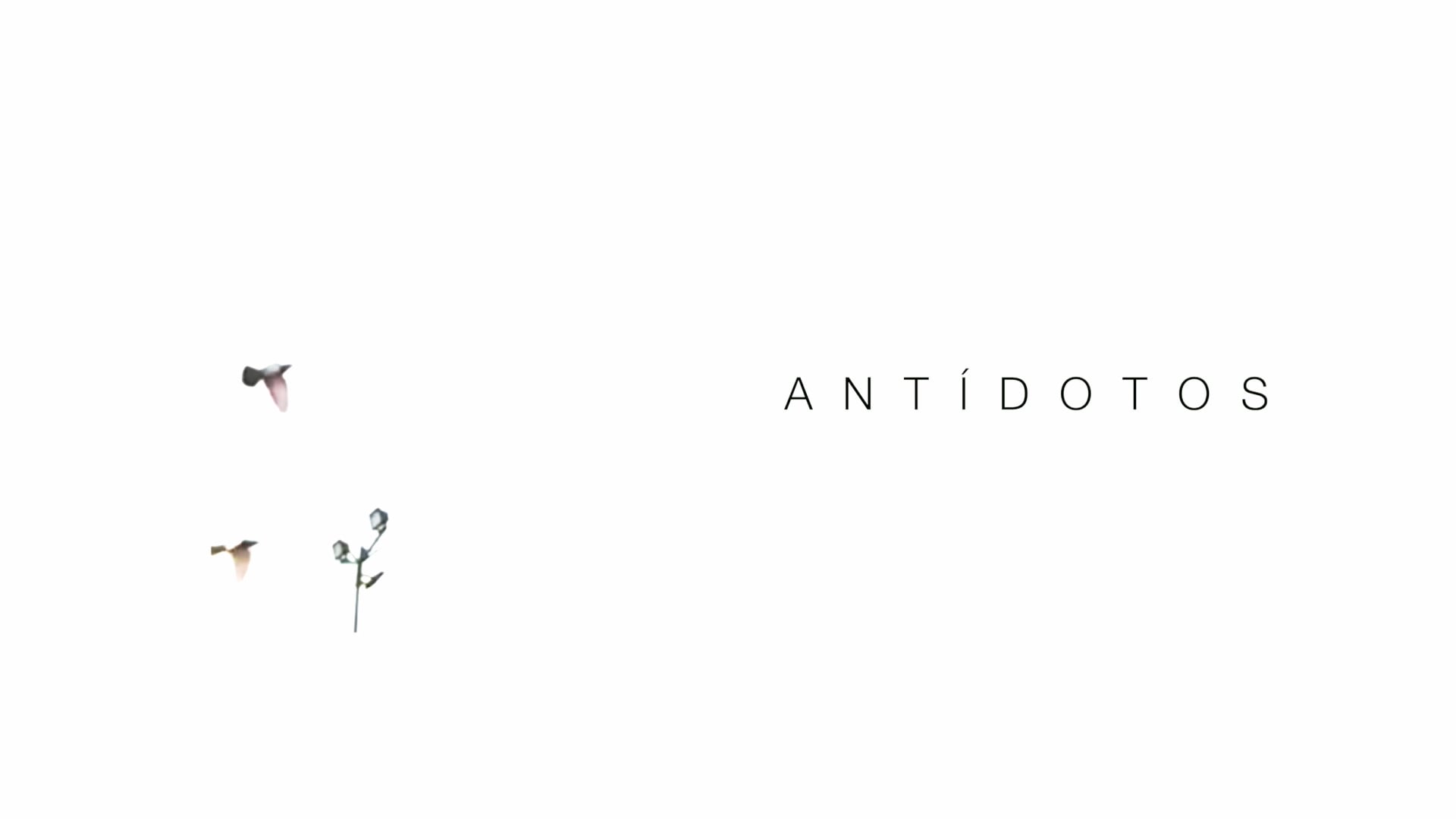 Antídotos Book Teaser by Felipe Kummer