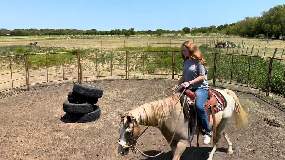 WWU Equestrian Riding Class Form Video on Vimeo