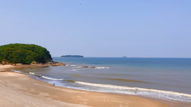 Beach Ocean Seagulls Free Stock Video - Pixabay