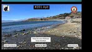 #391 Ayé