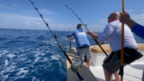 Pre-Tuna — Ocean City Fishing