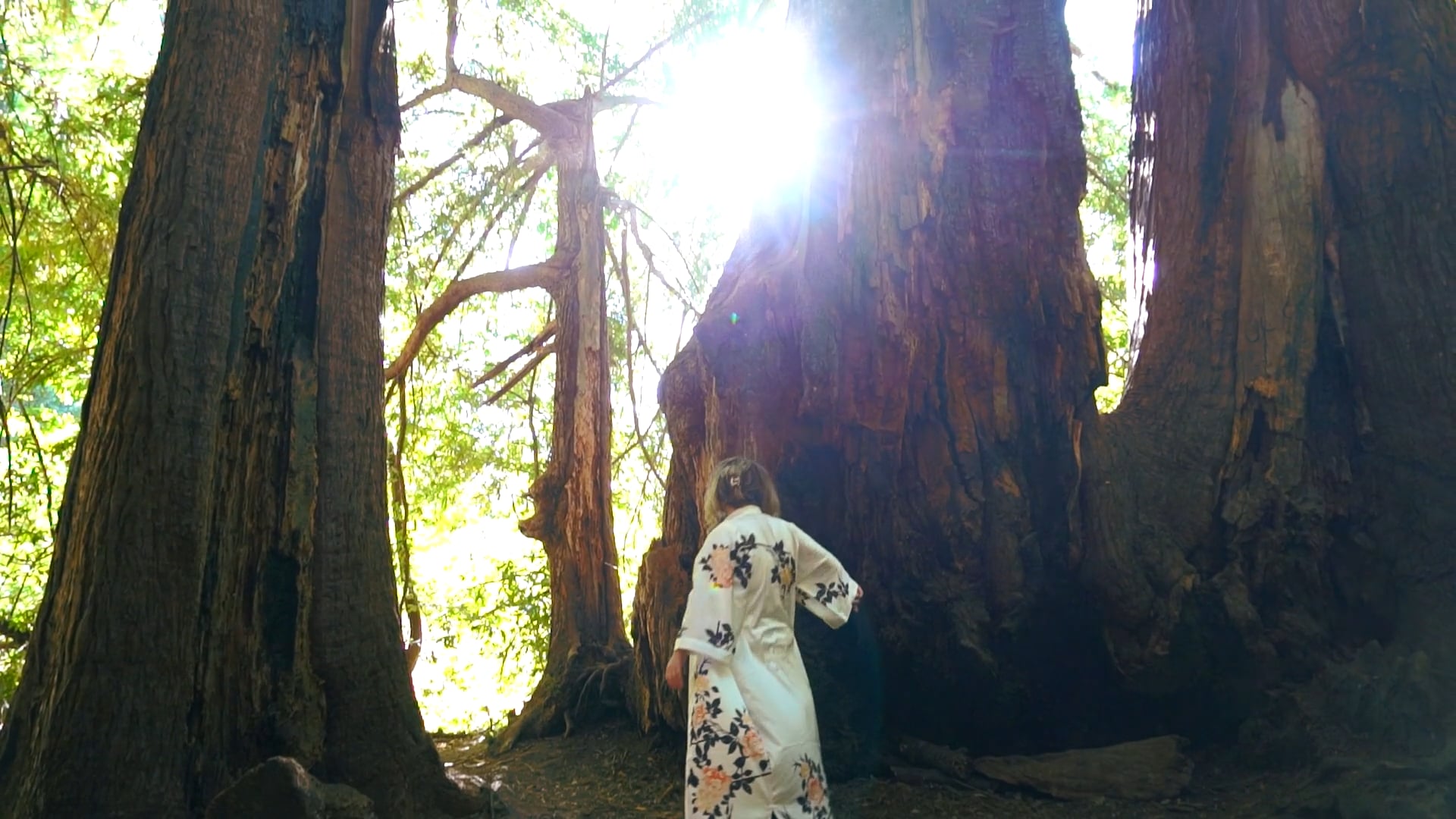 Dialogical Persona Healing Arts