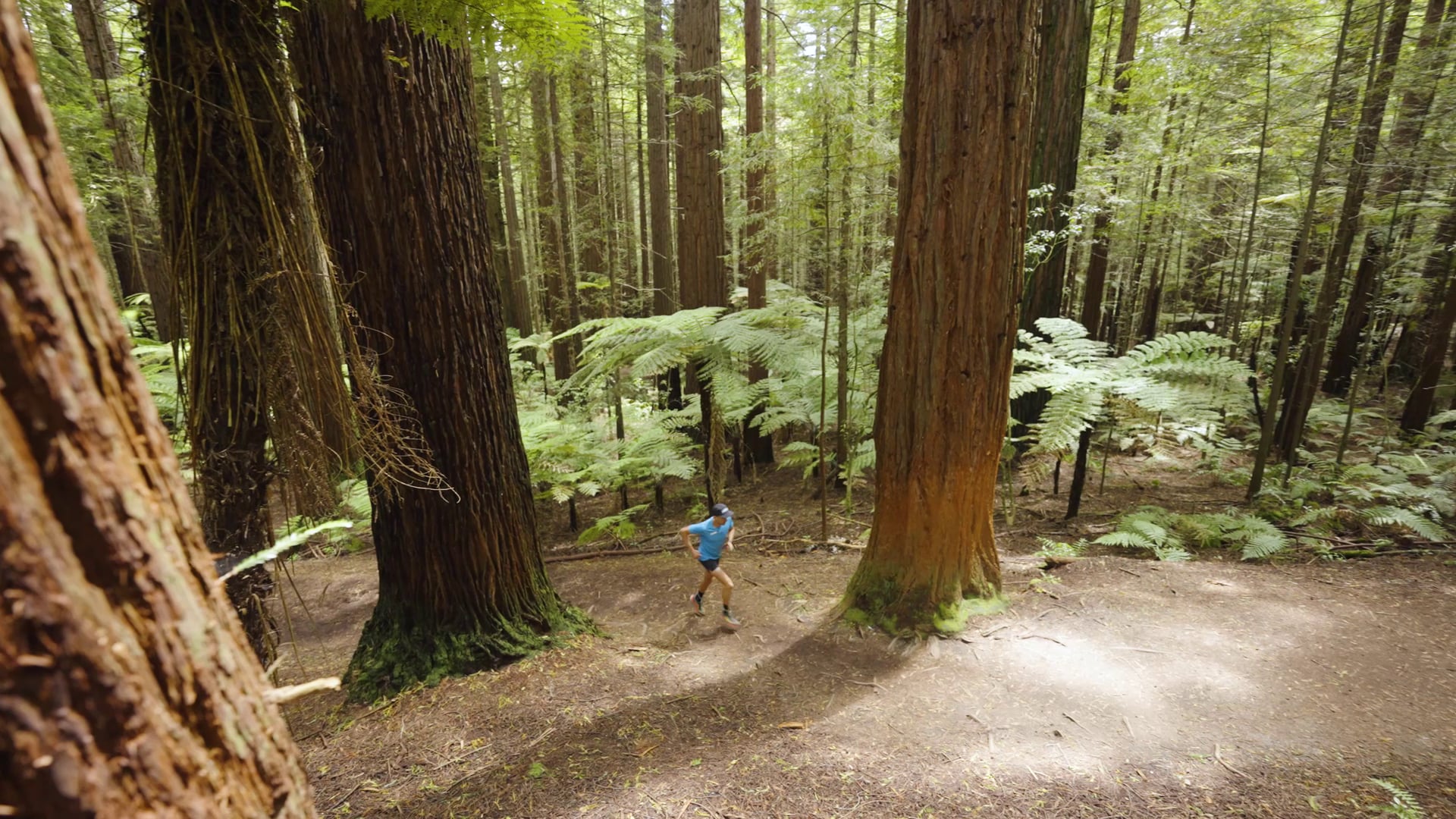 HOKA Shoes - Trail Run - Tarawera