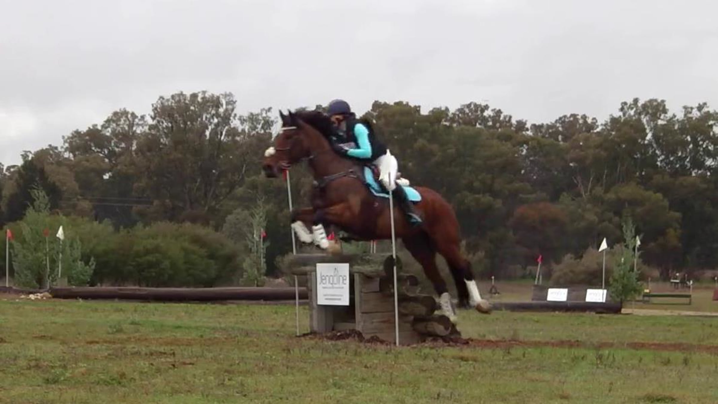 Johanna Harris draper riding HILLCREST EVE 59 EvA95 Wagga Wagga Horse ...