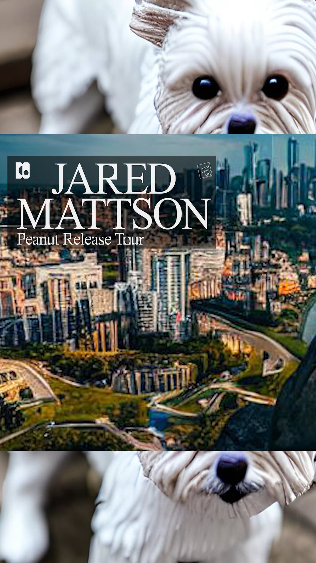 Jared Mattson Tour Poster 1
