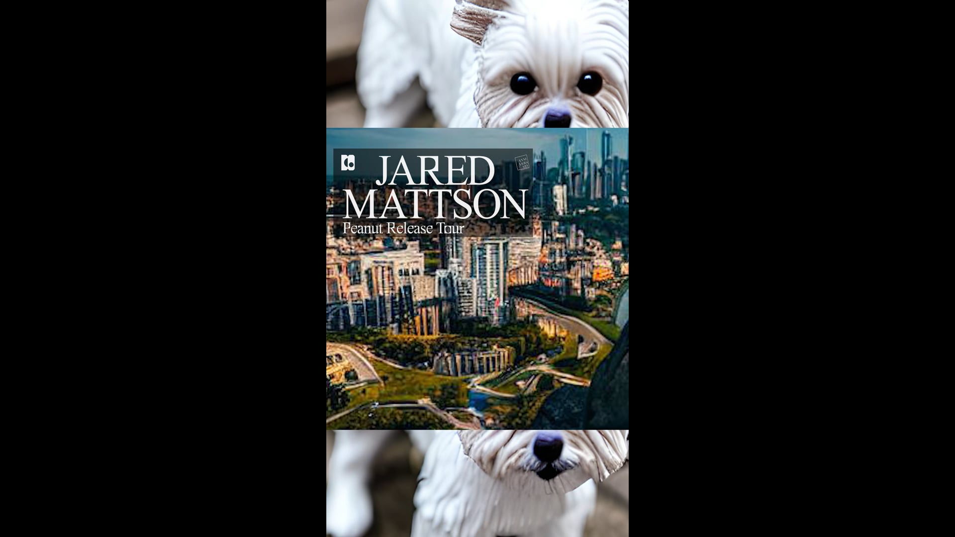 Jared Mattson Tour Poster 1