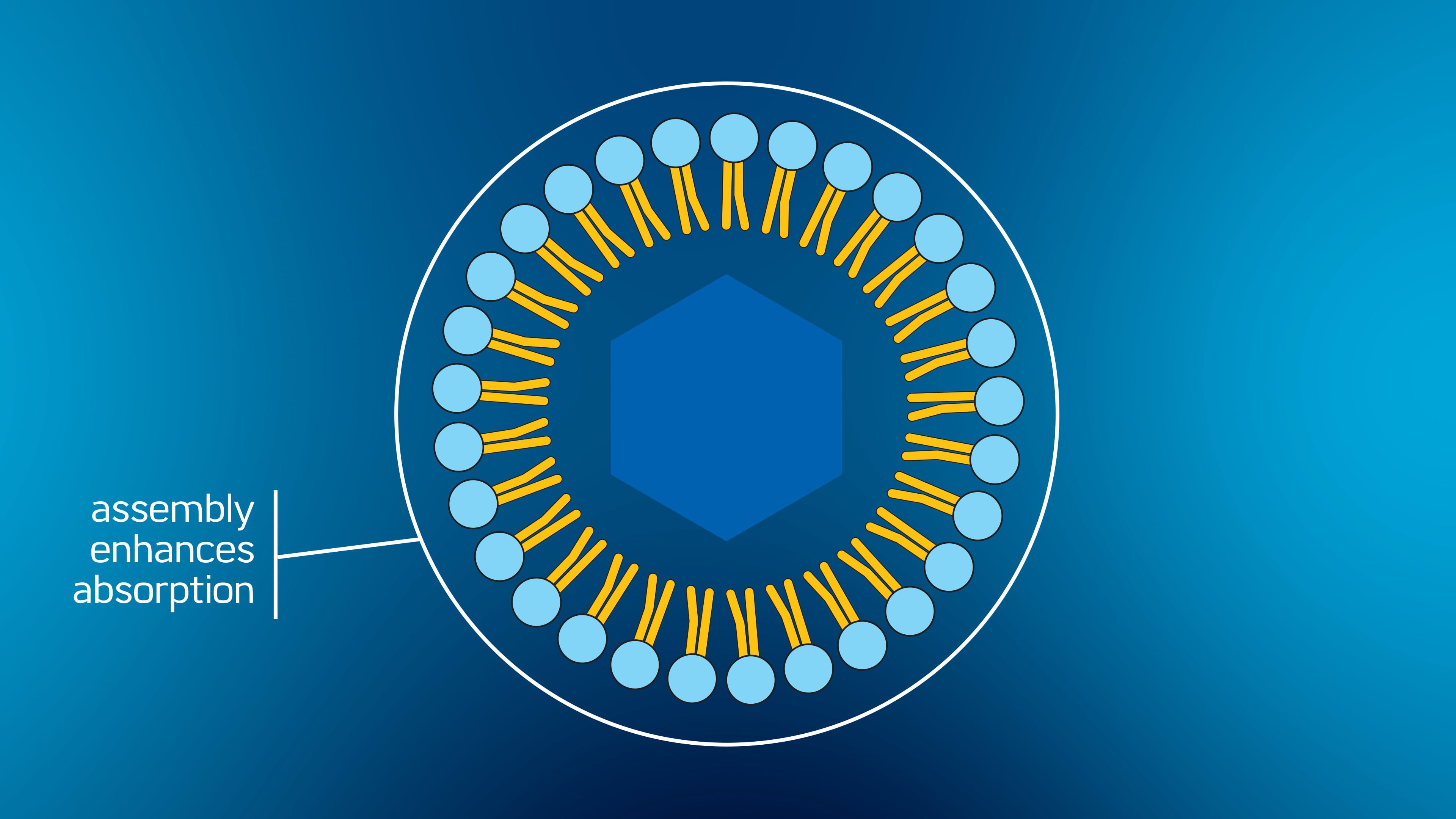 Micellization - NuMedica's Enhanced Absorption Technologies™