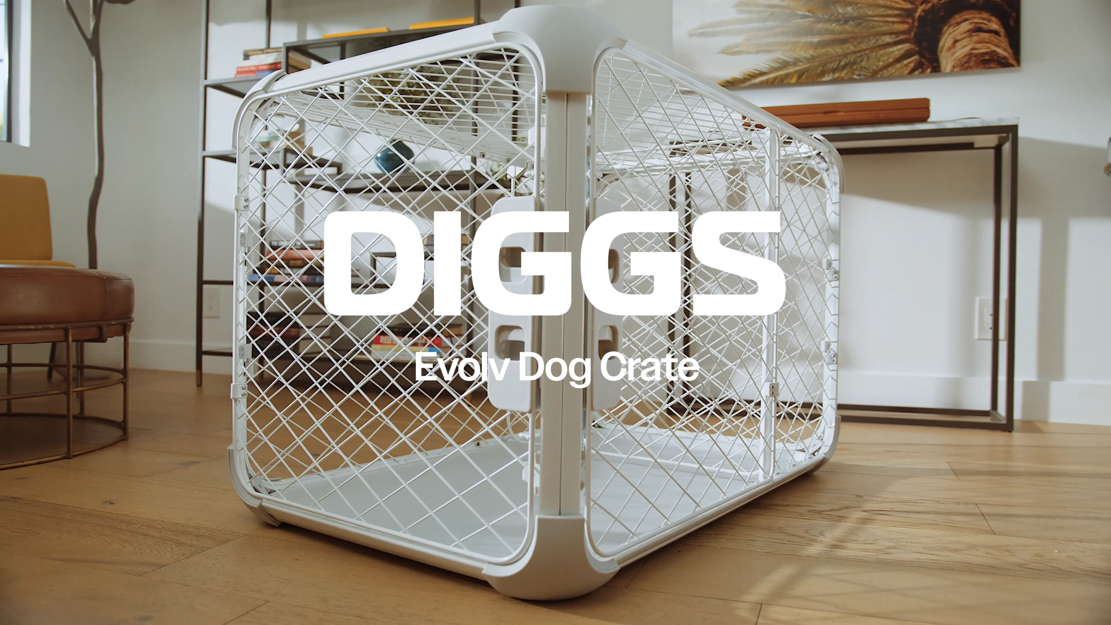 Diggs Evolv Dog Crate
