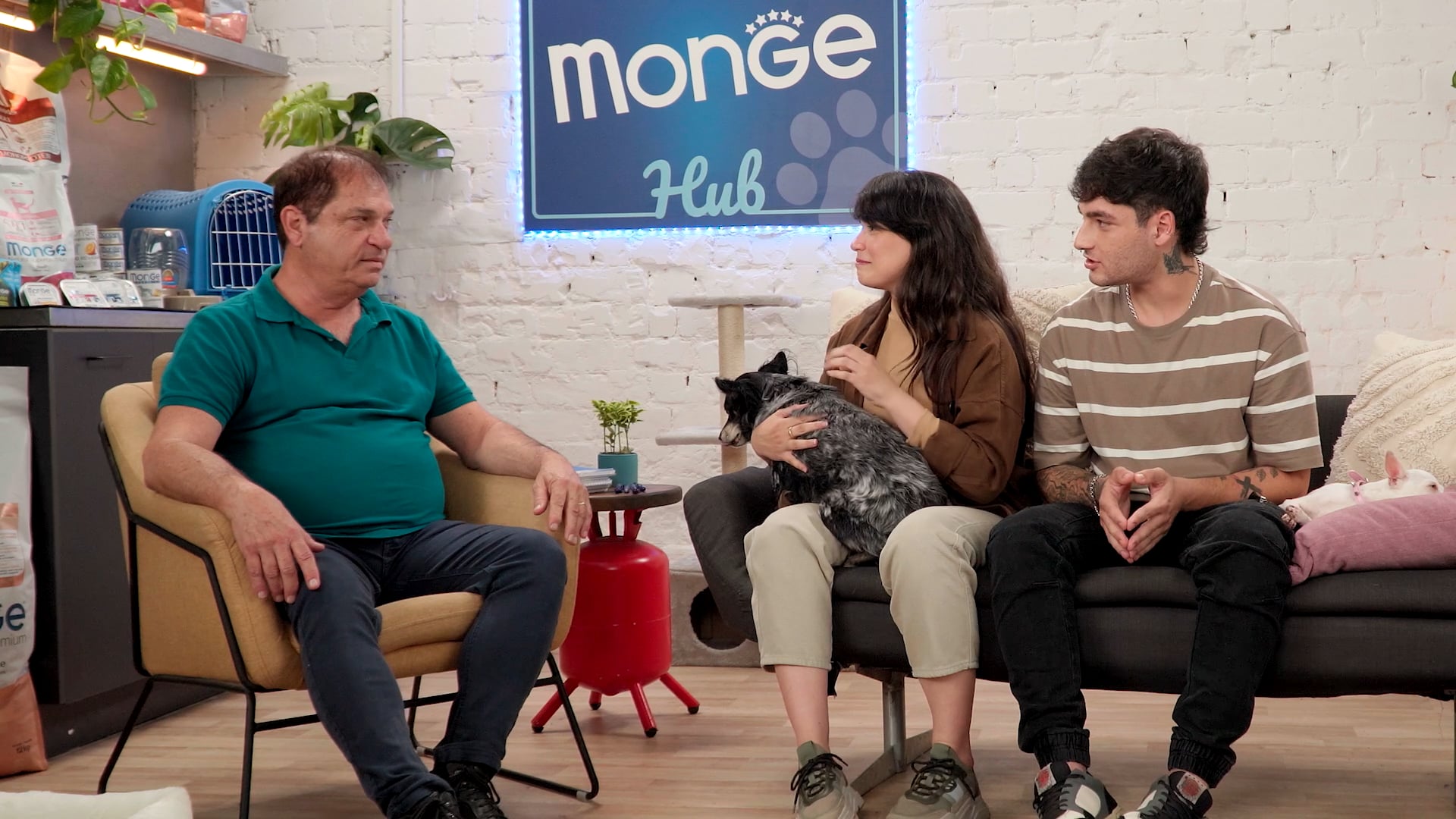 Monge - Dog Specialist