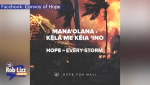 Help Us Heal Hawaii