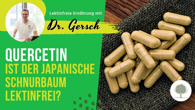 Quercetin: Ist der Japanische Schnurbaum lektinfrei?