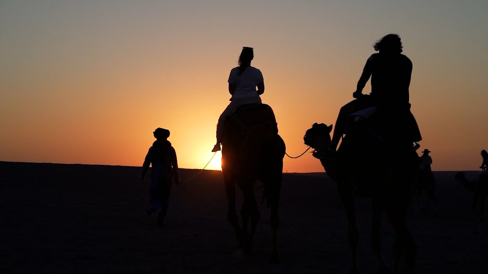 Allison & Ravi's Desert Nights