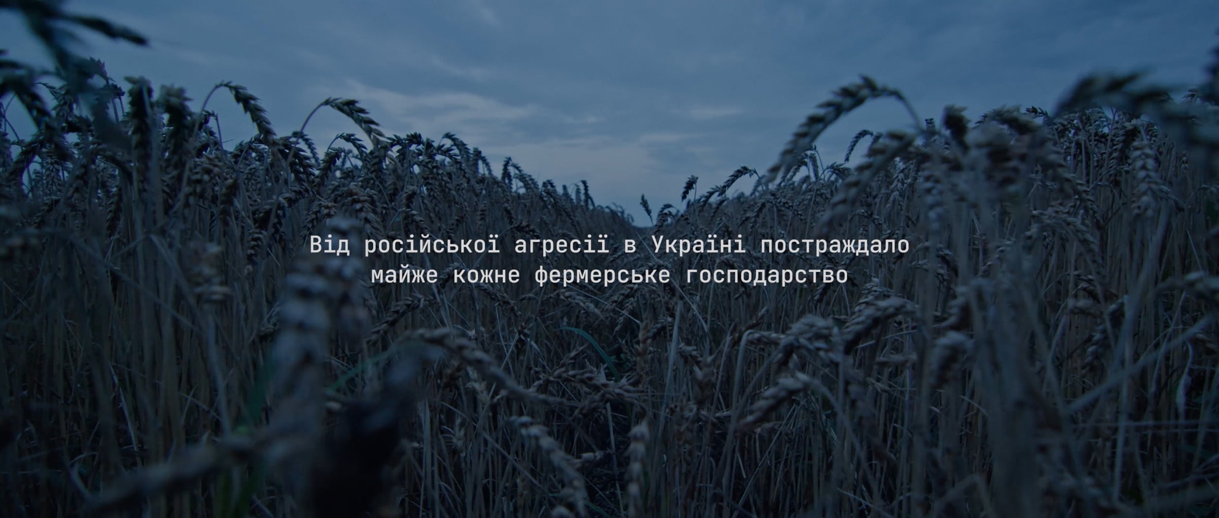 FARMERHOOD. From farmers to farmers (Color Grading Project) | Videos ...