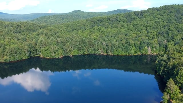 John Winchell video