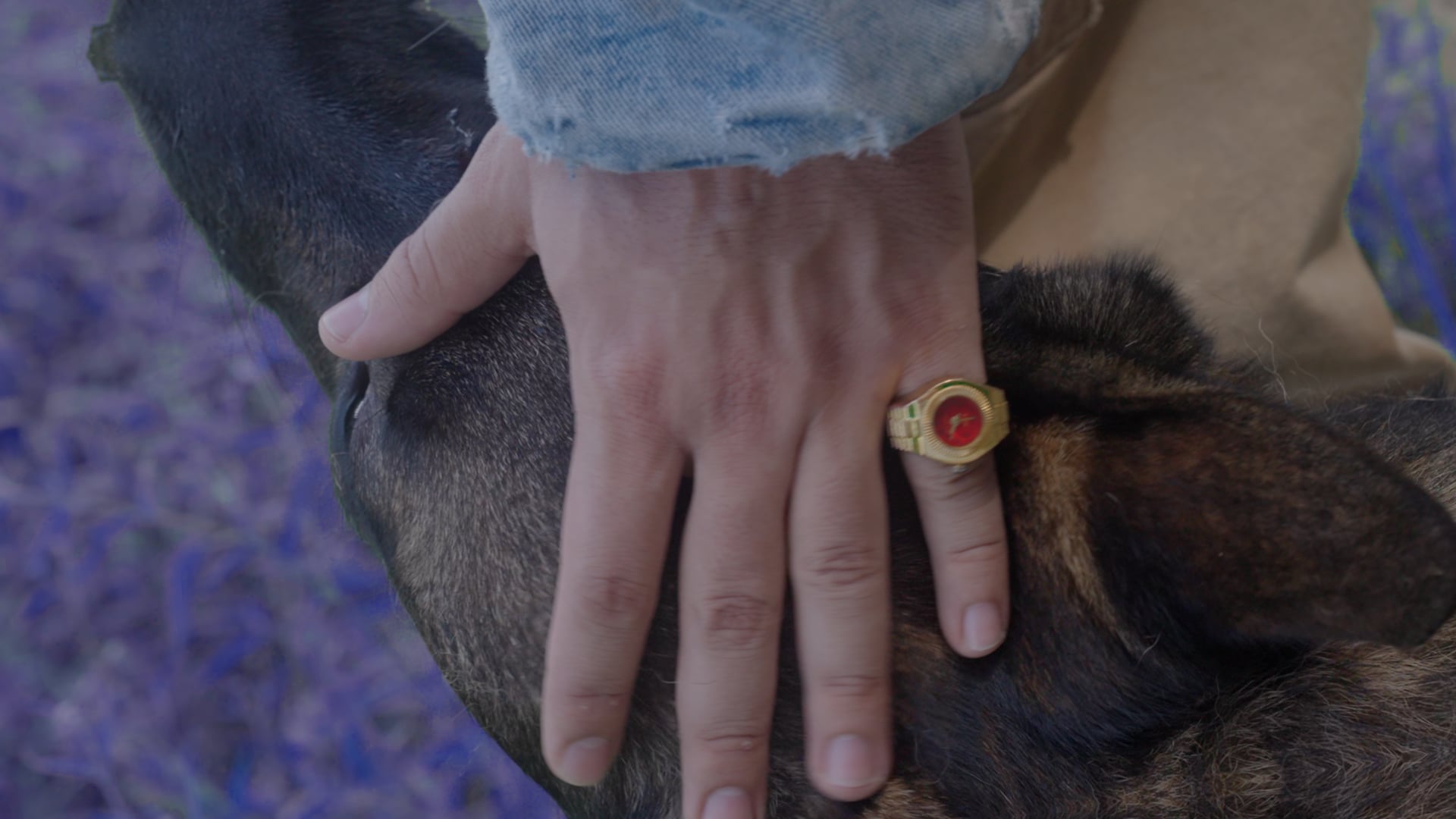 Kon Shop - Fall Collection Teaser