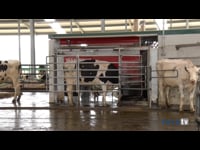 Cuatro robots de ordeño Lely en Armoki, una ganadería ejemplo de excelencia