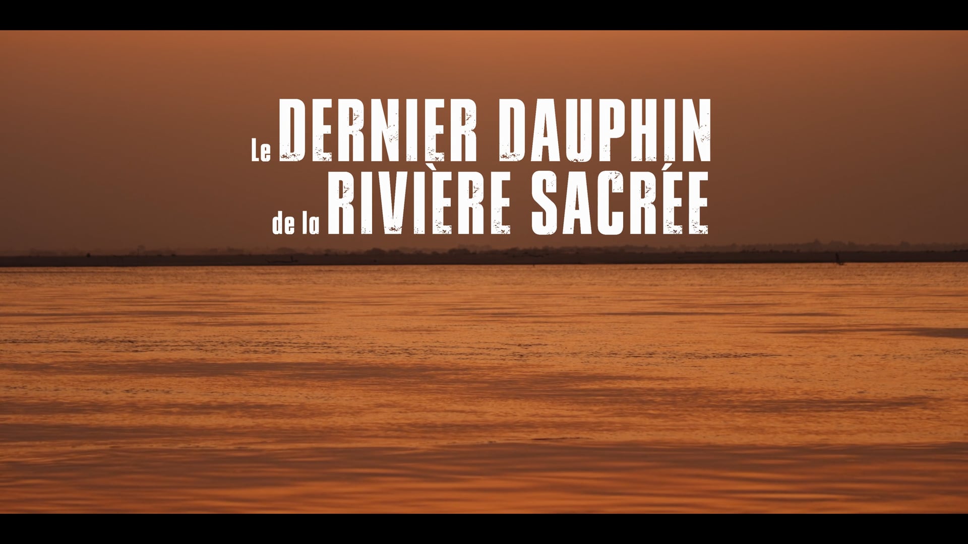 The Last Dolphin of the Sacred River - 52' Documentary - Directed by Kevin SEMPÉ