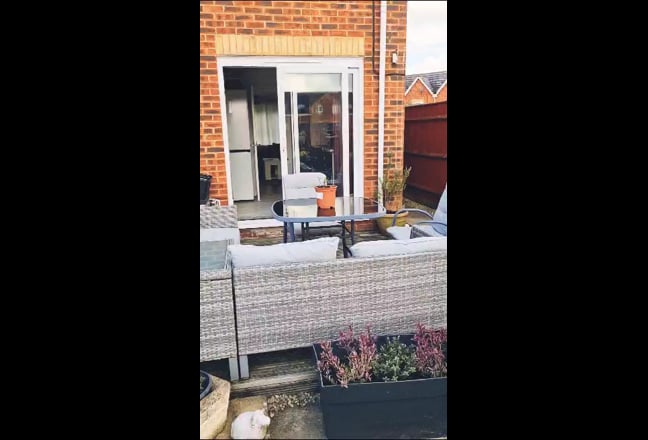 Video 1: