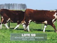 Lote 59