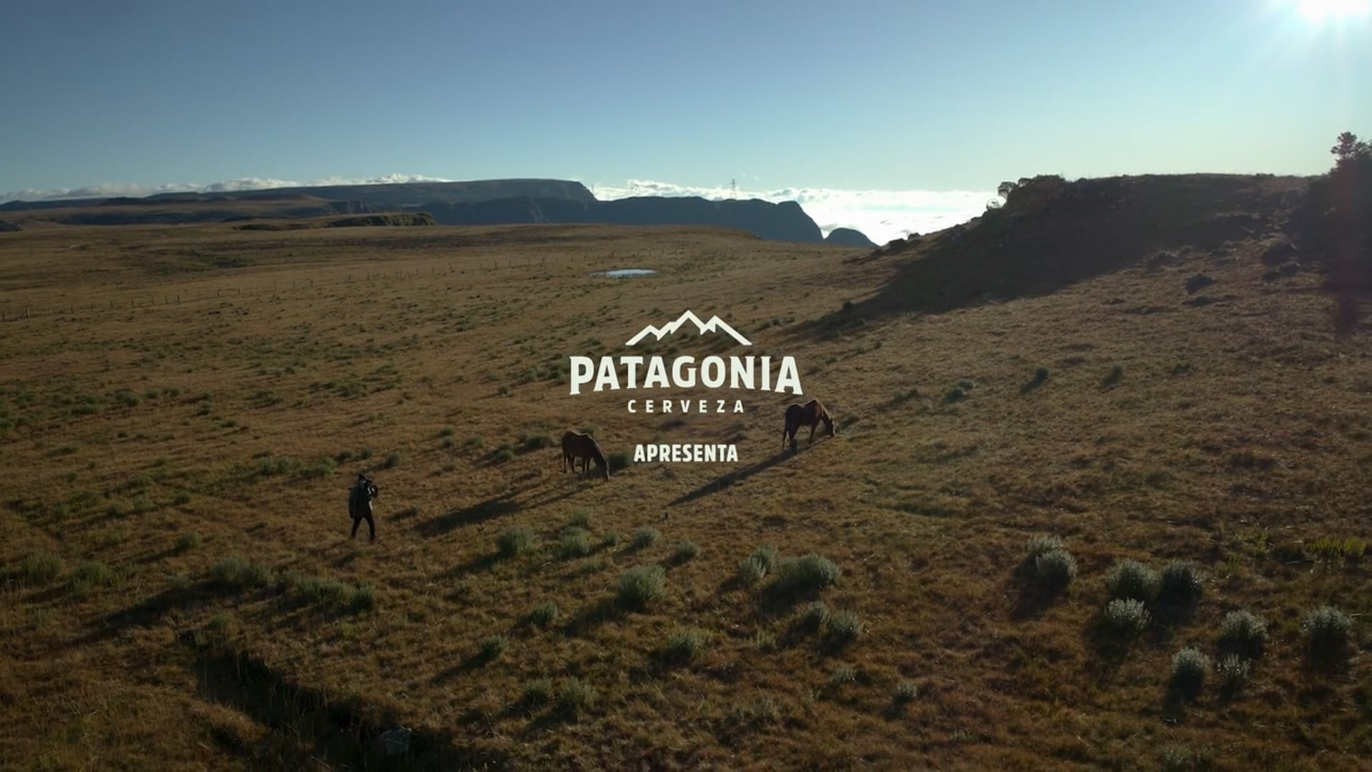 Cerveza Patagonia