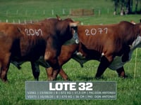 Lote 32