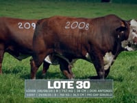 Lote 30