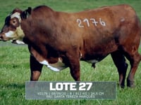 Lote 27