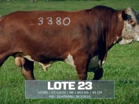 Lote 23