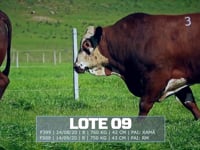 Lote 09
