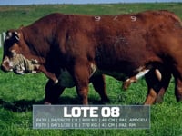 Lote 08