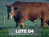 Lote 04