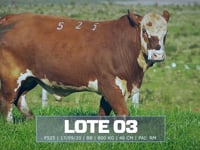 Lote 03