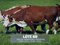 Lote 69