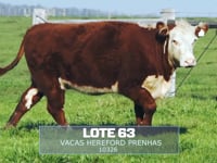 Lote 63