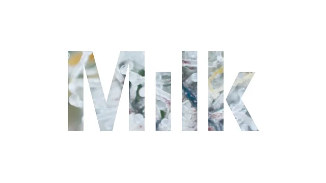 milk studios