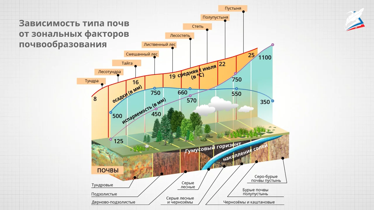 Зональным типам